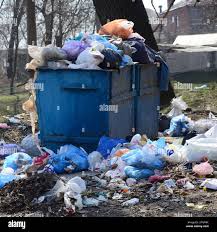 Best Dumpster Rental Services  in Robbins, NC