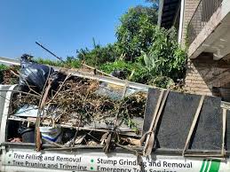 Professional Junk Removal in Robbins, NC